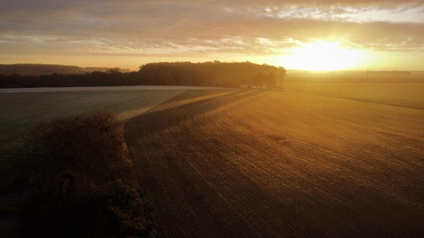 dji_fly_20251118_082812_584_1763451050625_photo_optimized